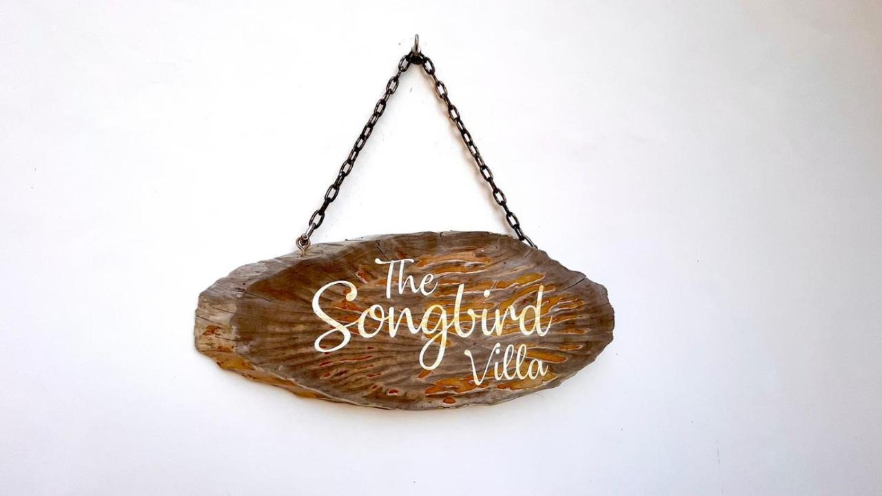 The Songbird Villa Pointe Au Sel Εξωτερικό φωτογραφία